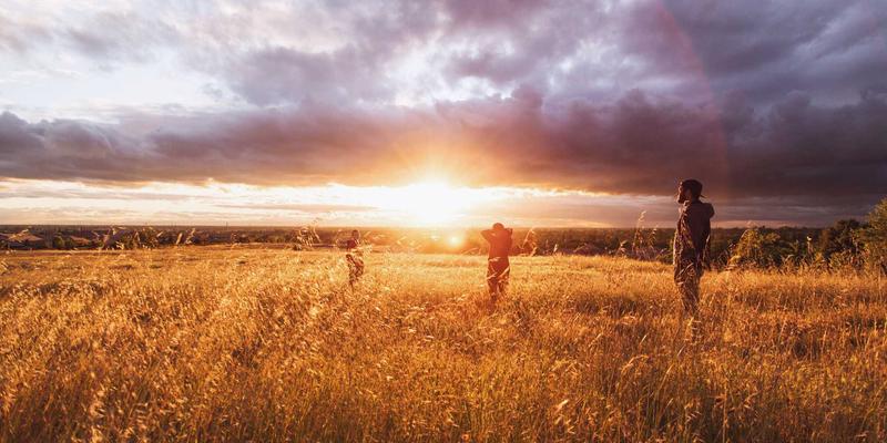 P4可编程数据平面：揭秘下一代网络设备的软件定义核心与YSTOL开发工具实战