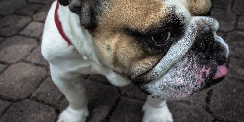 告别盲区:基于eBPF的内核级网络可观测性如何重塑微服务监控