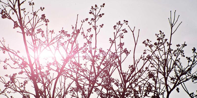 多云网络互联架构深度解析：VPC对等连接、云网关与第三方SD-WAN的融合方案