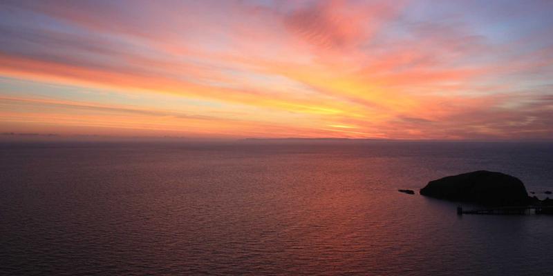 服务网格性能对决：Istio与Linkerd在生产环境中的实战选型指南